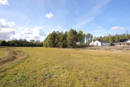 Bild av närområdet