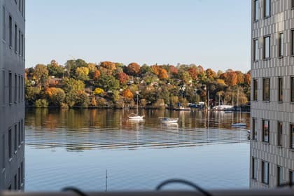 Bild av närområdet