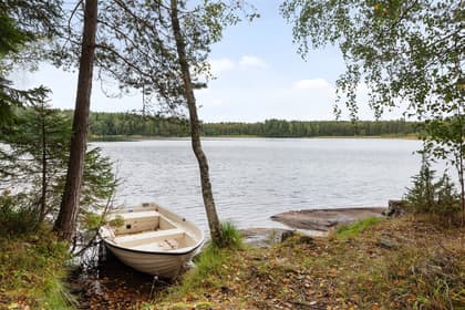 Bild av närområdet