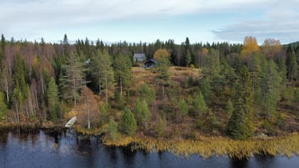 Bild av närområdet