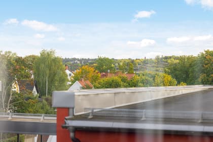 Bild av närområdet