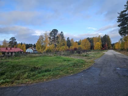 Bild av närområdet