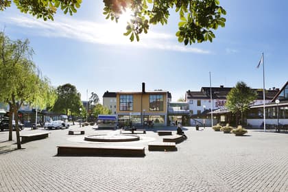 Bild av närområdet