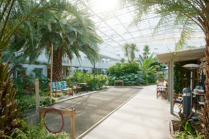 Bild av närområdet