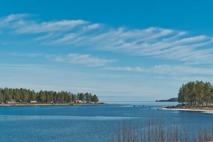 Bild av närområdet