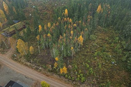 Illustrerad karta över fastigheten eller området