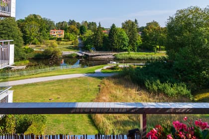 Bild av närområdet