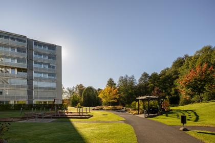 Bild av närområdet