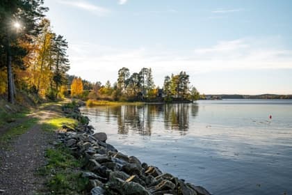 Bild av närområdet