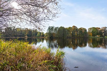 Bild av närområdet