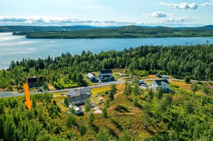 Bild av närområdet