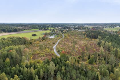 Bild av närområdet