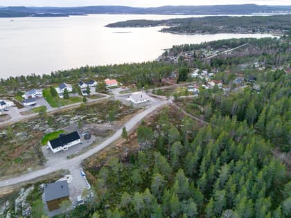 Bild av närområdet