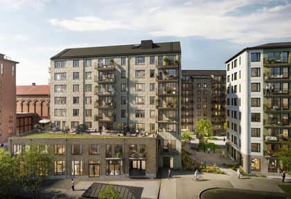 Havrepiren, Kungsängen