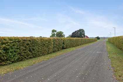 Bild av närområdet