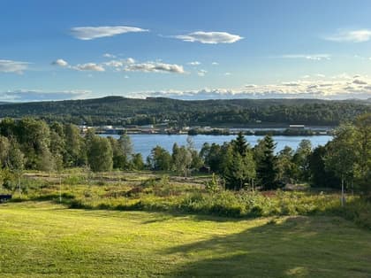 Bild av närområdet