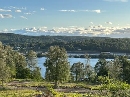 Bild av närområdet