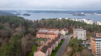 Bild av närområdet