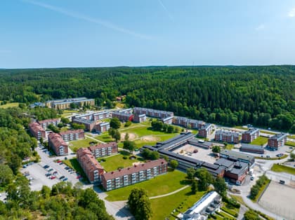 Bild av närområdet