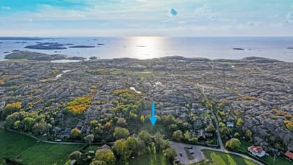 Bild av närområdet