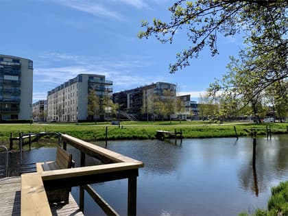 Bild av närområdet