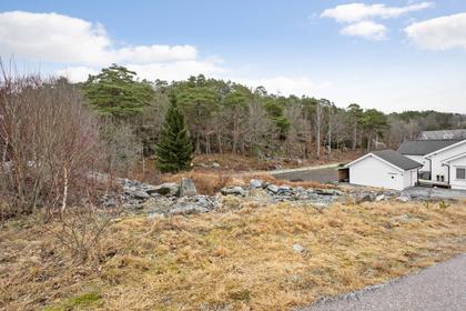 Bild av närområdet