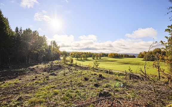 Hillinge 49, Jönköping