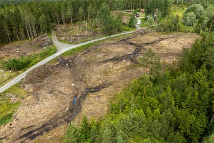 Illustrerad karta över fastigheten eller området
