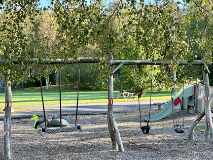 Bild av närområdet