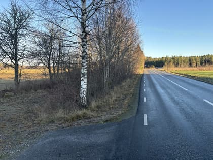 Bild av närområdet