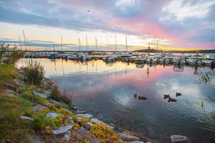 Bild av närområdet