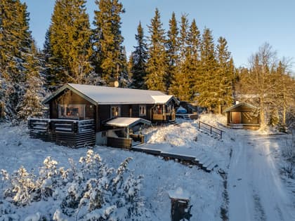 Hjortronvägen 33, Gammelgårdsområdet