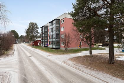 Bild av närområdet