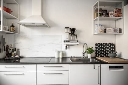 Mariedalsvägen 60A, Pildammarna