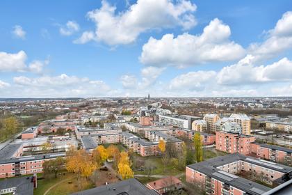 Bild av närområdet