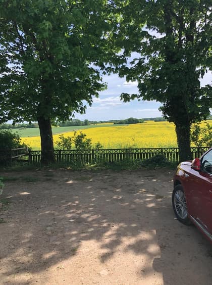 Bild av närområdet