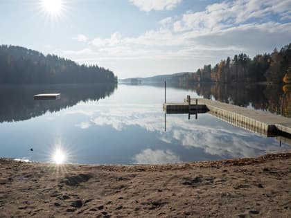 Bild av närområdet
