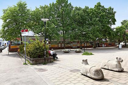 Bild av närområdet