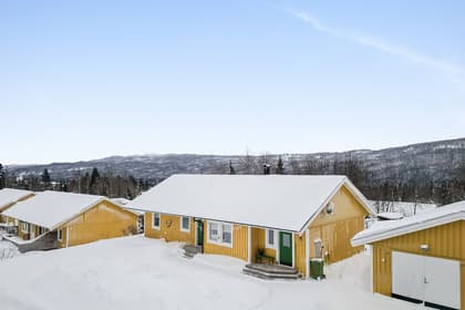 Bild av närområdet