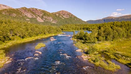 Bild av närområdet