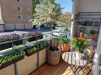 Balkong eller utsiktsbild