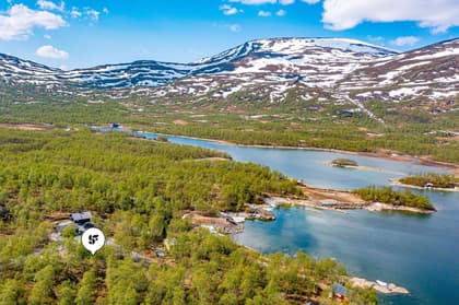 Bild av närområdet