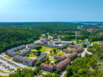 Bild av närområdet