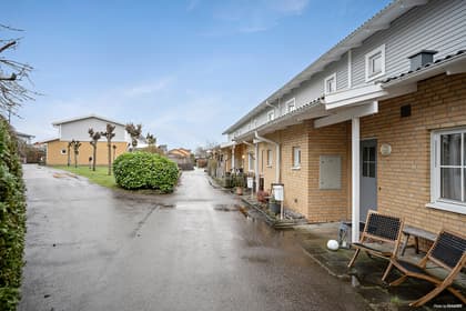 Bild av närområdet