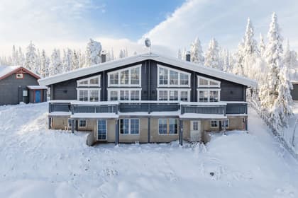 Dammkölsringen 25, Dammkölen