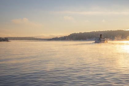 Bild av närområdet