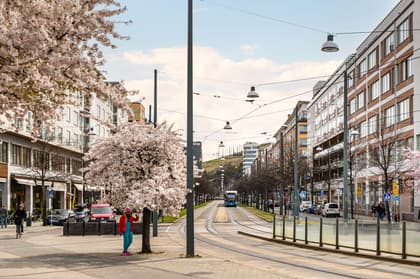 Bild av närområdet