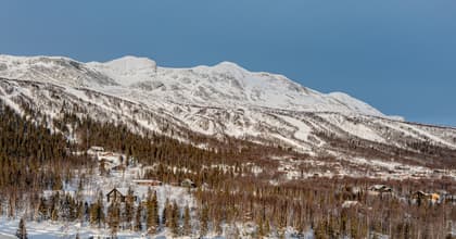Illustrerad karta över fastigheten eller området