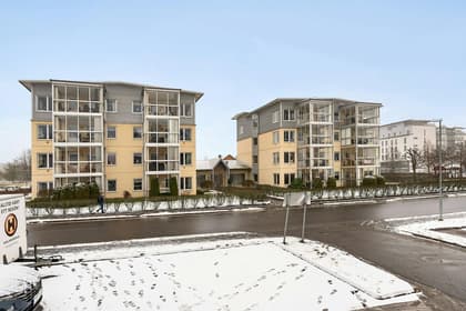 Bild av närområdet