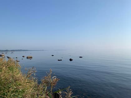 Bild av närområdet